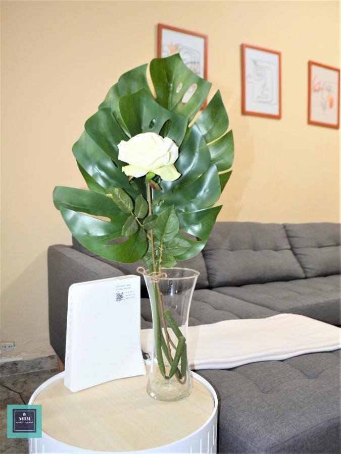 Apartament Teresa Urban Flat Palmas *
